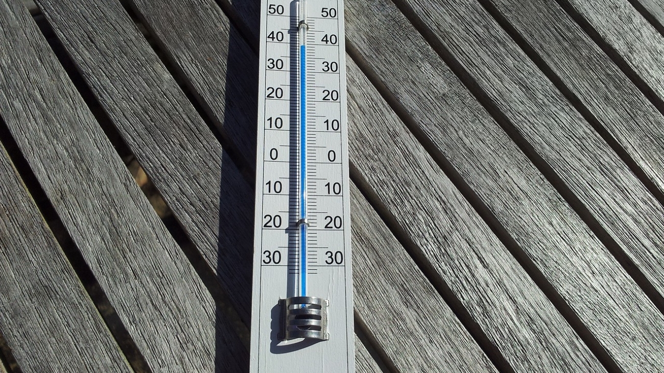 thermometer-693852_1280